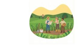 Coordinación de actividades empresariales en el sector agrícola