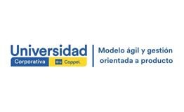 Modelo ágil y gestión orientada a producto