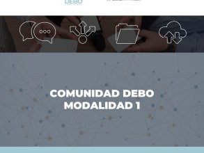 COMUNIDAD 1 - DEBO 2025