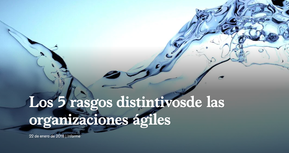 Los 5 rasgos distintivos de las organizaciones ágiles