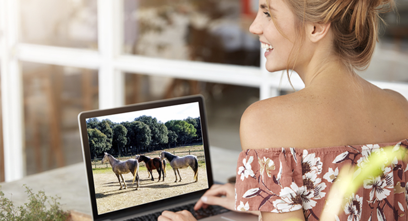 El lenguaje del caballo